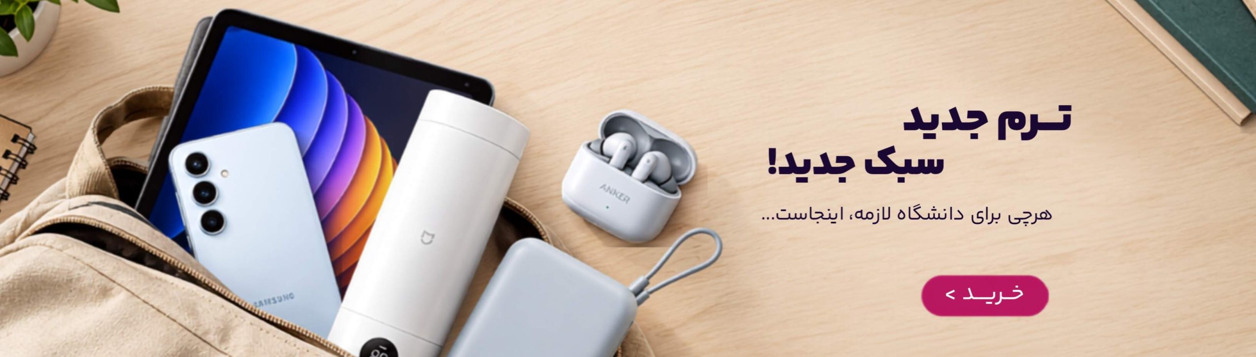 دانشگاه
